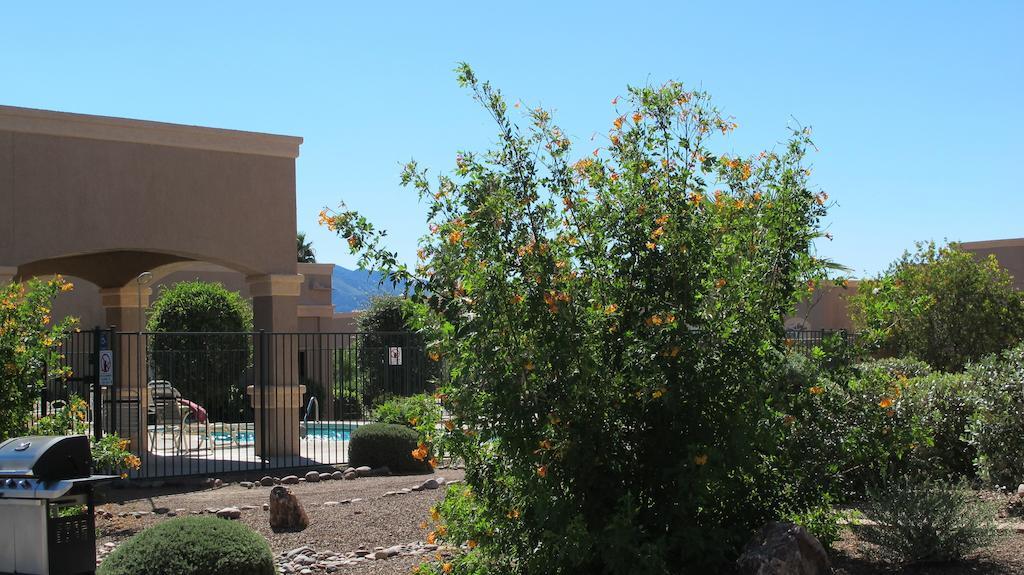 גרין ואלי Inn At San Ignacio Condo Hotel מראה חיצוני תמונה